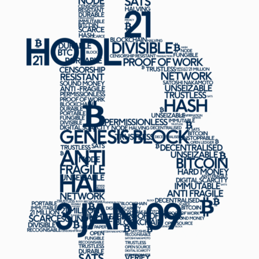 the₿ritcoiner